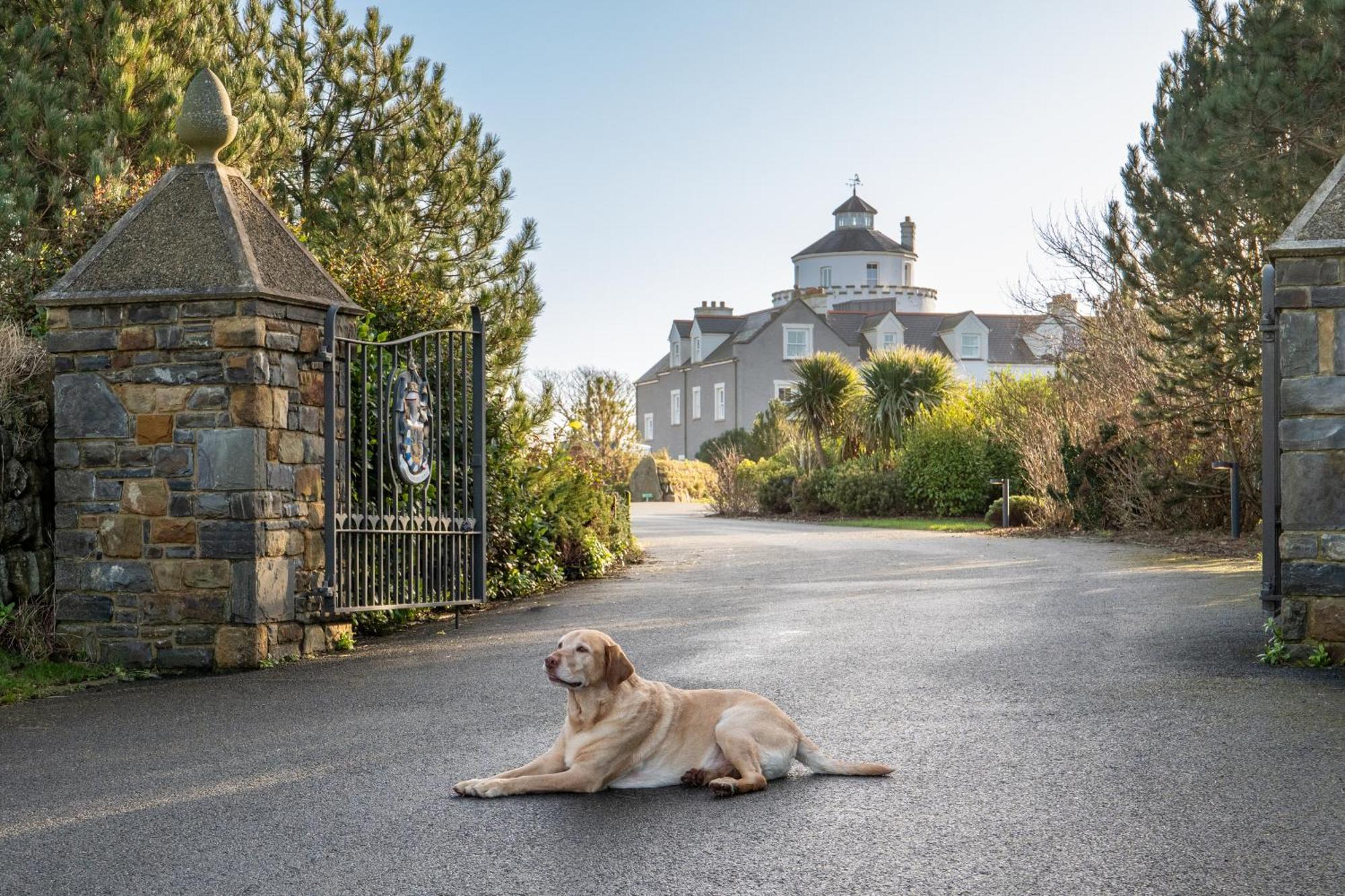 Hotel Twr Y Felin St. Davids (Pembrokeshire)